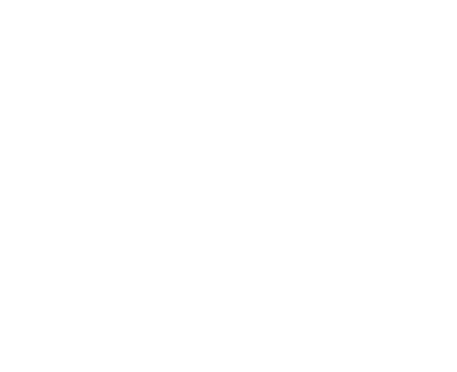 Logo TeamCherry
